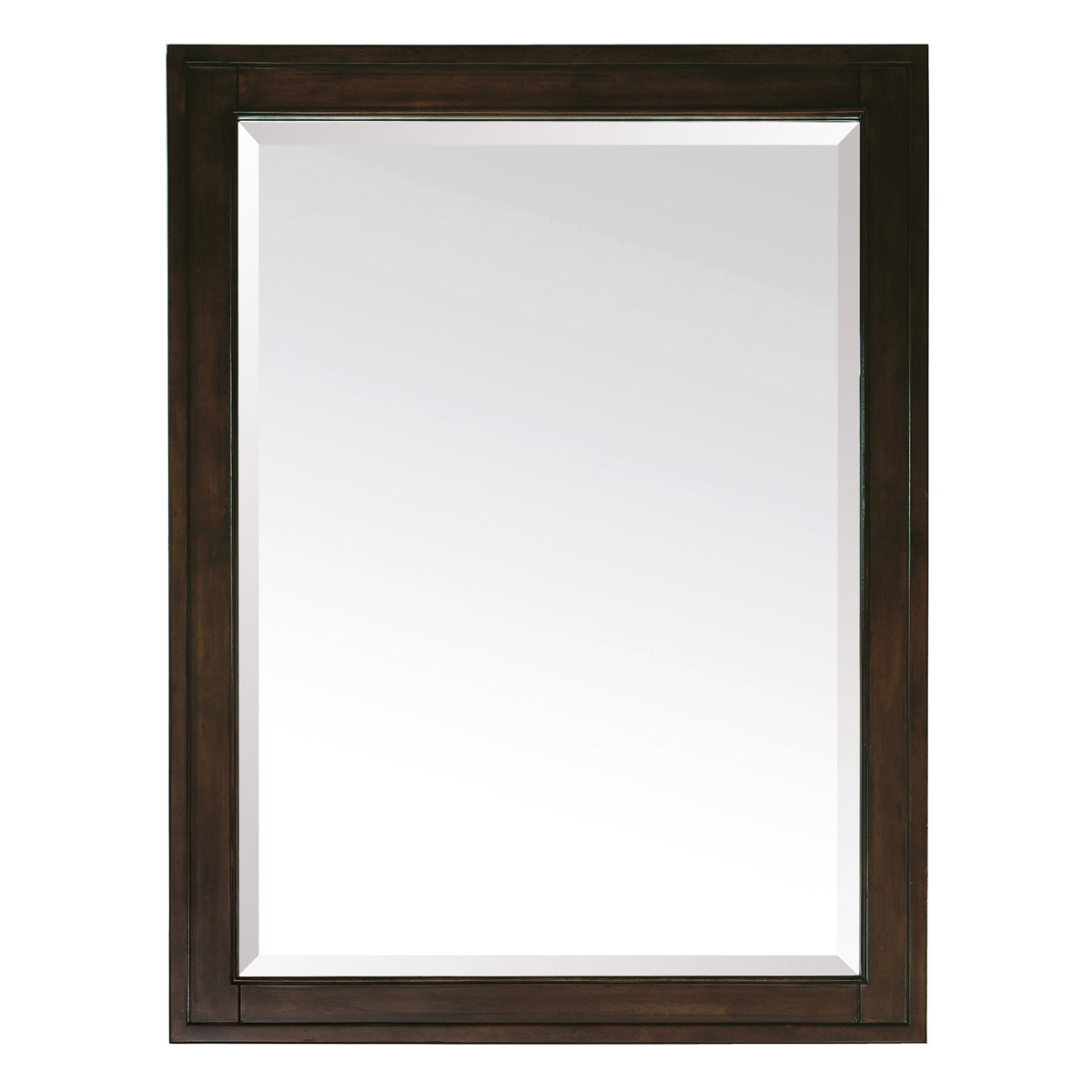Optional Mirror Optional Mirror