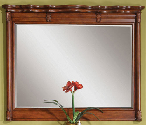 Optional Mirror Optional Mirror