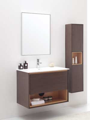 31.5" Sophora Single Bath Vanity - Iron Wood